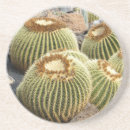Search for cacti coasters Garden