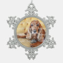 Search for pet memorials Pets