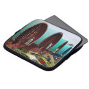 Search for covered wagon electronics Gypsy