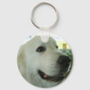 Search for pyrenees keychains Great