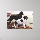 Search for newfoundland canvas prints Animal