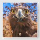 Recherche de rapace horloges Oiseau de proie