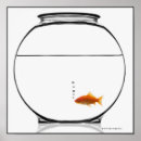 Search for loneliness posters Animal
