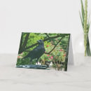 Search for funny crow birthday cards Photography