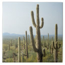 Search for desert tiles Heat