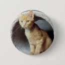 Recherche de tunnel badges Animaux
