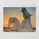 Search for kelpy postcards Kelpies