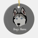Search for alaskan husky ornaments Siberian husky dog