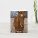 Search for equine thank you cards Cute