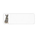 Search for cattle return address labels Pet