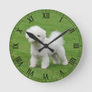 Recherche de pelouse horloges Vert