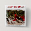 Recherche de chiwawa badges Animal