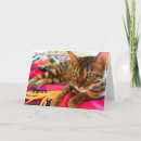 Recherche de pet loss Loss of a cat