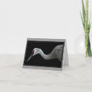 Search for crane bird cards Sandhill