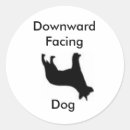 Search for australian heeler stickers Blue