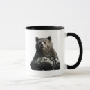Recherche de livre de jungle tasses Baloo