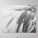 Recherche de rose gris posters Peinture murale