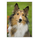 Recherche de massage cartes postales Coloré