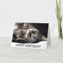 Recherche de black cat anniversaire cartes Happy birthday