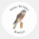 Search for bird of prey stickers Hawk