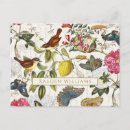 Search for vintage butterfly postcards Pink