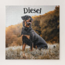 Search for rottweiler puzzles Breed