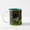 Recherche de fougères tasses Forêts tropicales