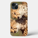Search for photo ipad cases Cat