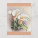 Recherche de cala cartes postales Nature
