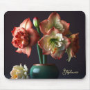 Recherche de amaryllis tapis souris Floral