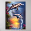 Search for beautiful dolphin Cute