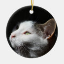 Recherche de tabby cat ornaments Mignon