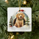 Search for golden retriever ornaments Fun