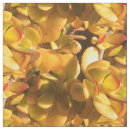 Search for ice plants Yellow