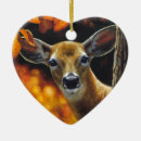 Search for whitetail deer ornaments Wildlife