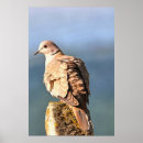 Search for wildlife posters Bird