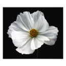 Recherche de cosmo art Blanc