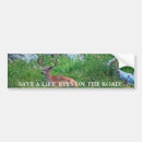 Search for wildflower bumper stickers Summer