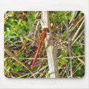 Recherche de petit insecte tapis souris Rouge