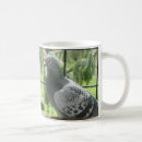 Search for pigeon mugs Nature