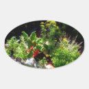 Search for herb garden stickers Food