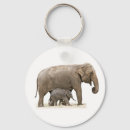 Search for elephant baby keychains Wild