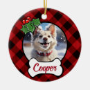 Search for leaves ornaments Holly berries