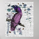 Search for vintage parrot art Animals