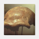 Search for cranium Head