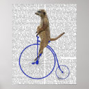 Recherche de farce posters Meerkat