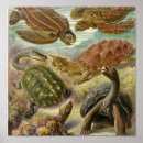 Search for prehistoric creatures posters Animals