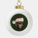 Search for dachshund ornaments Cute