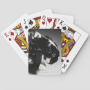 Search for white rabbit playing cards Black