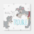 Search for tramp magnets Cute